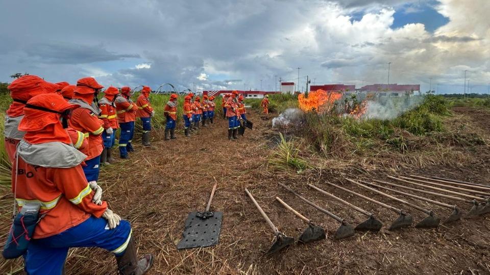 Rondônia -  Corpo de Bombeiros de Rondônia abre processo seletivo para contratação de brigadistas florestais