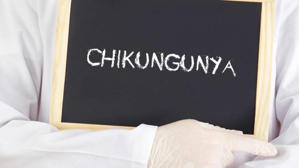 Saúde - OMS alerta mundial para surto do vírus da Chikungunya