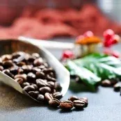 Mercado cafeeiro trabalhava em lados opostos nas bolsas internacionais na manhã desta 4ª feira (27)