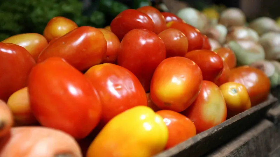 Brasil abre mercado para produto agropecuário na Argentina e no Paraguai