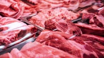 Carne Bovina: Exportações argentinas atingem maior volume do ano em agosto, mas 2025 deve ficar abaixo do recorde