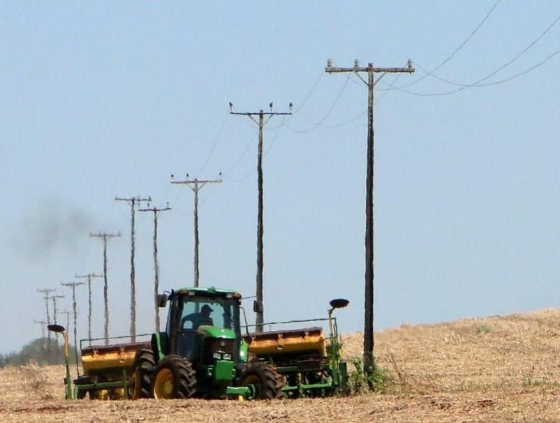 Geral - Alerta: 80% dos acidentes com rede elétrica ocorrem no campo e Energisa reforça orientações de segurança