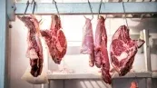 Indonésia habilita mais 17 frigoríficos do Brasil para exportação de carne bovina