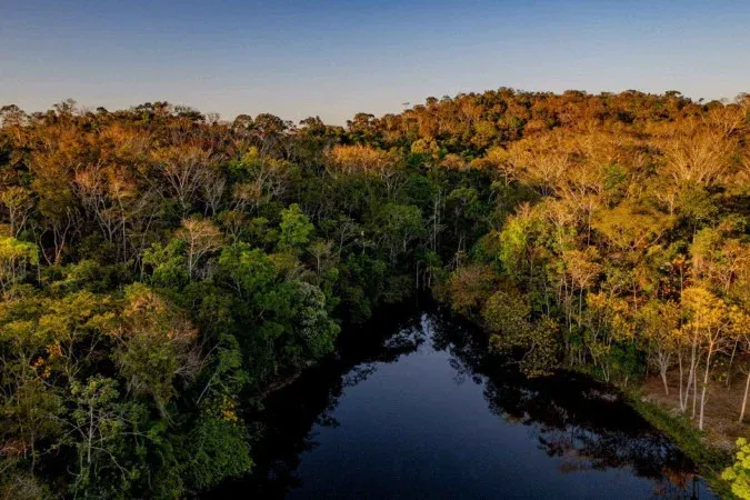 AMAZÔNIA -  Produção sustentável em terras indígenas de RO