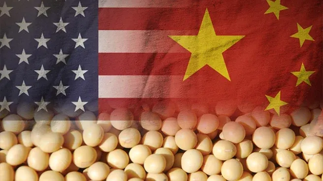 EUA informa que China comprará 12 milhões de t de soja até agosto de 2026; Chicago sobe