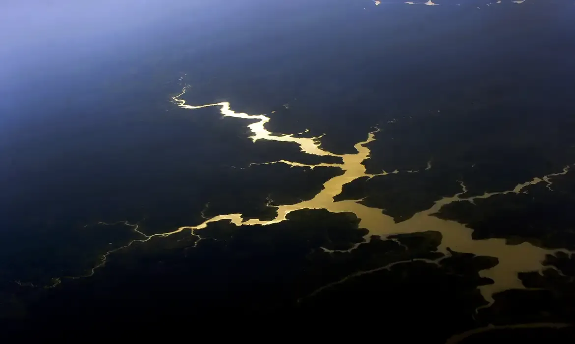Meio Ambiente - Captura de carbono na Amazônia está em risco, diz estudo