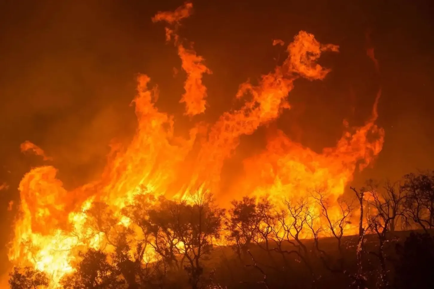 Notícias - Brasil tinha disponível menos de 1 bombeiro para cada 1.000 km² queimados em 2024