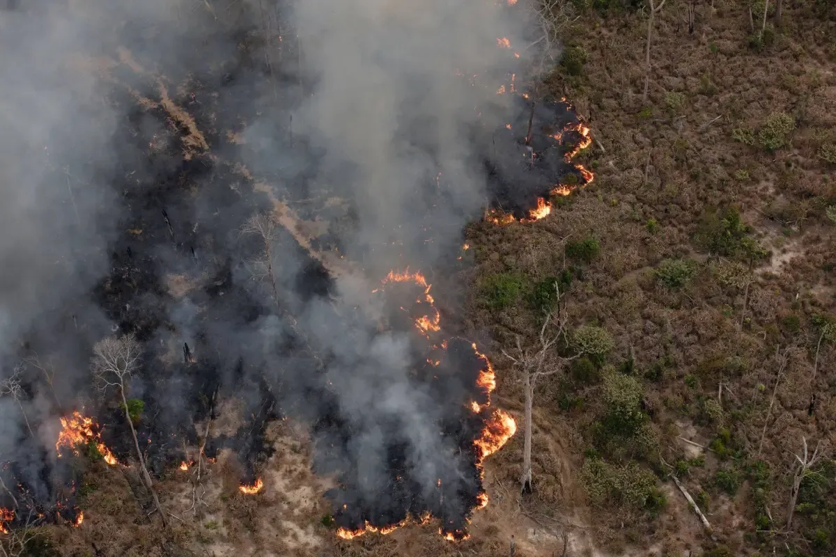 Salada Verde - Gestão do fogo na Amazônia ainda é fragmentada e enfrenta avanço das queimadas, aponta IPAM