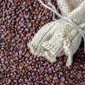 Café inicia novembro em alta com arábica a 396,90 cents/lbp e robusta a US$ 4.550/t