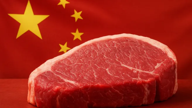 China prorroga investigação de salvaguardas sobre importação de carne bovina até 2026