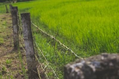 Cidades - MPF recomenda ao Incra retomada de regularização e destinação para reforma agrária da fazenda Morro Vermelho