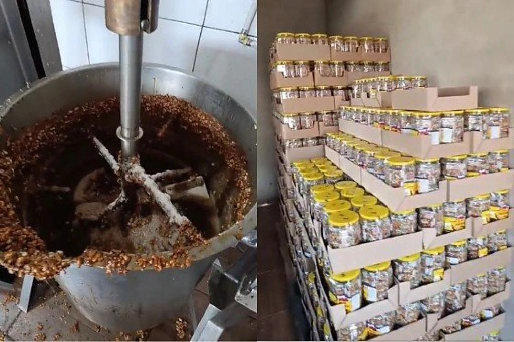 Fábrica Clandestina - Polícia identifica fábrica clandestina que produzia paçoca com cocô de rato; veja imagens