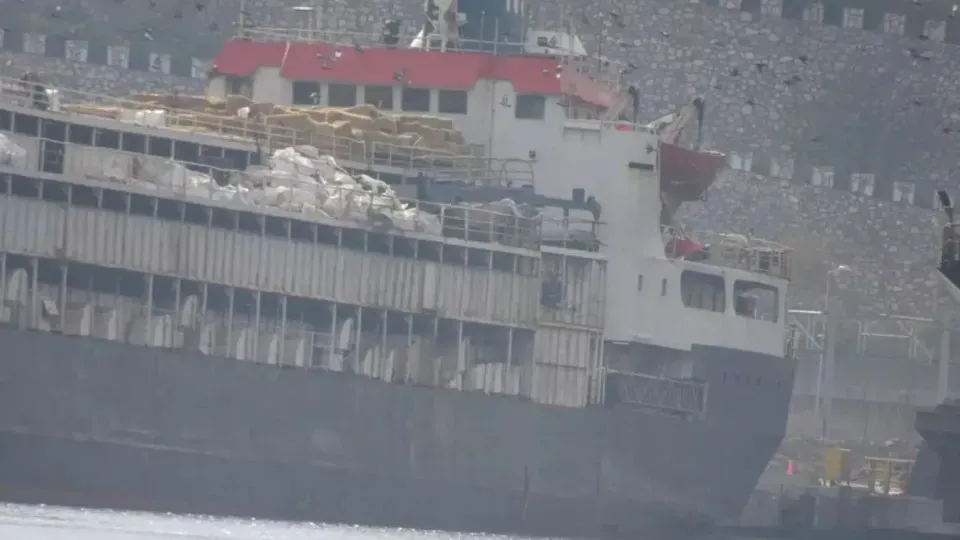 Navio com 3 mil vacas vira crise global e inicia retorno ao Uruguai