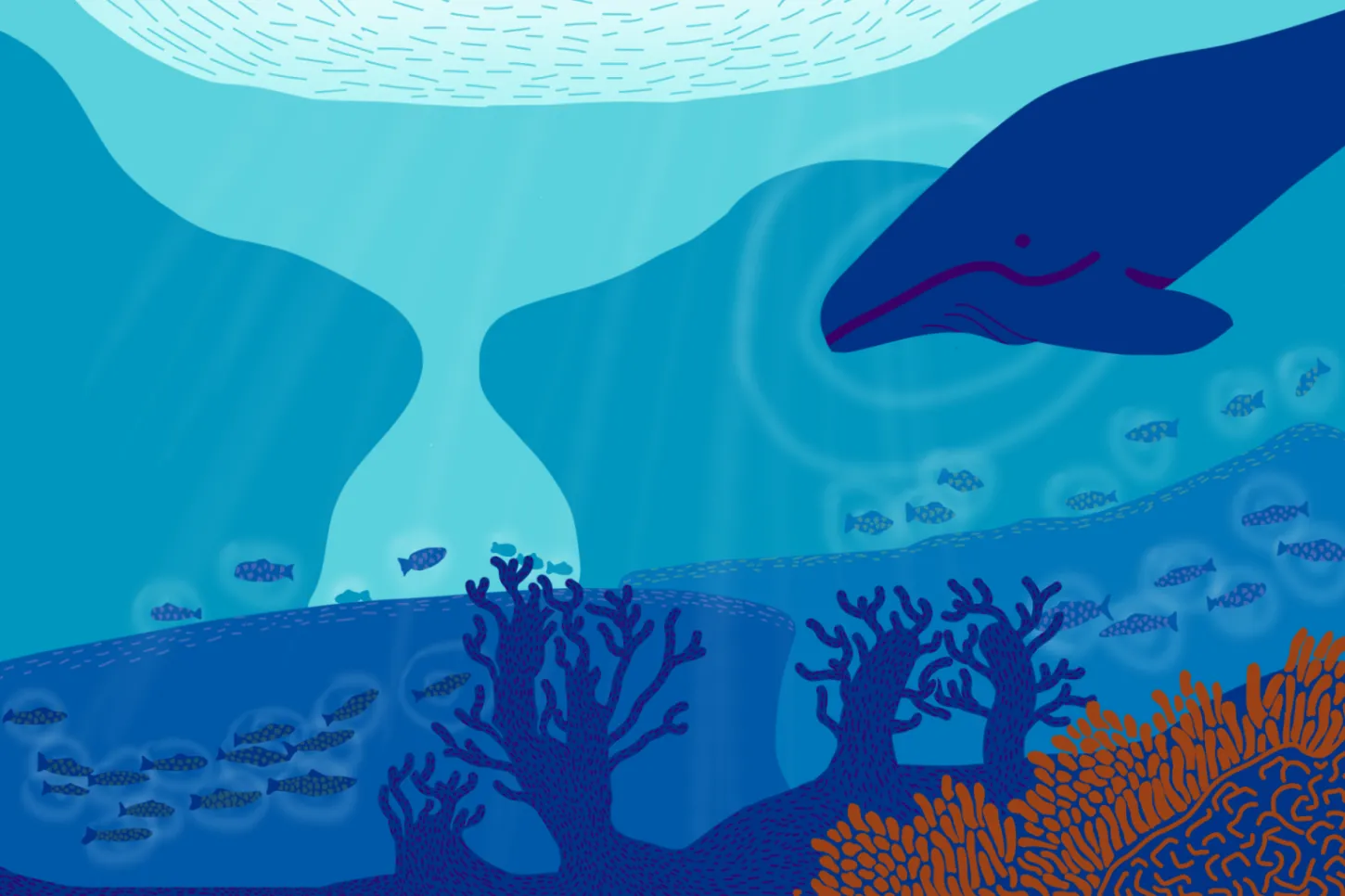 Reportagens - Sons do Mar: como arte e ciência podem se unir para a conservação do Oceano