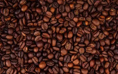 Agronegócios | Café - Café hoje: confira as cotações para quarta-feira (10)