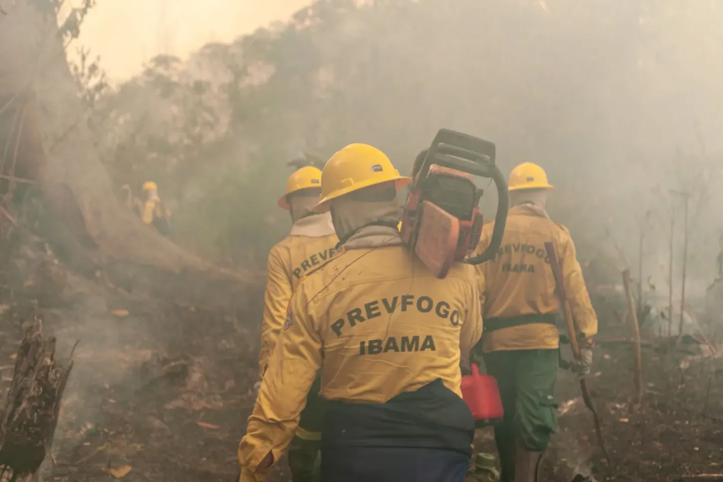 Análises - Equilíbrio, harmonia e estabilidade podem transformar os cuidados com incêndios em gestão de fogo 