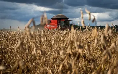 Agronegócios | Previsão do tempo - O que produtores devem esperar do clima nos próximos meses nas diferentes regiões do Brasil?