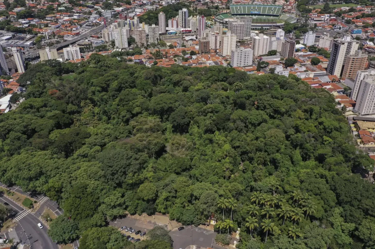 Análises - Caminhos para a integração da Ecologia com a Sociobiodiversidade