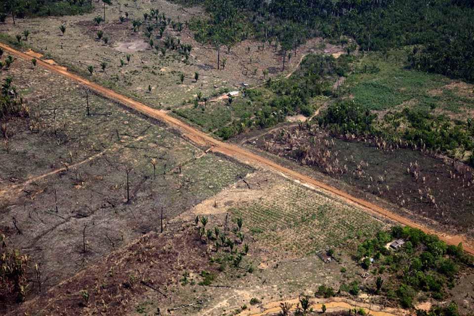 DESMATAMENTO - Investigação da Folha de S. Paulo associa recorde de desmate em Rondônia ao fluxo de máquinas pagas com emendas parlamentares