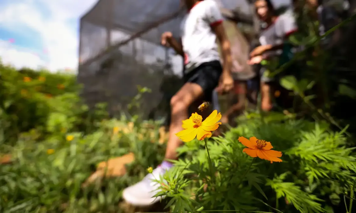 Meio Ambiente Dia da Educação Ambiental destaca iniciativas de conscientização
