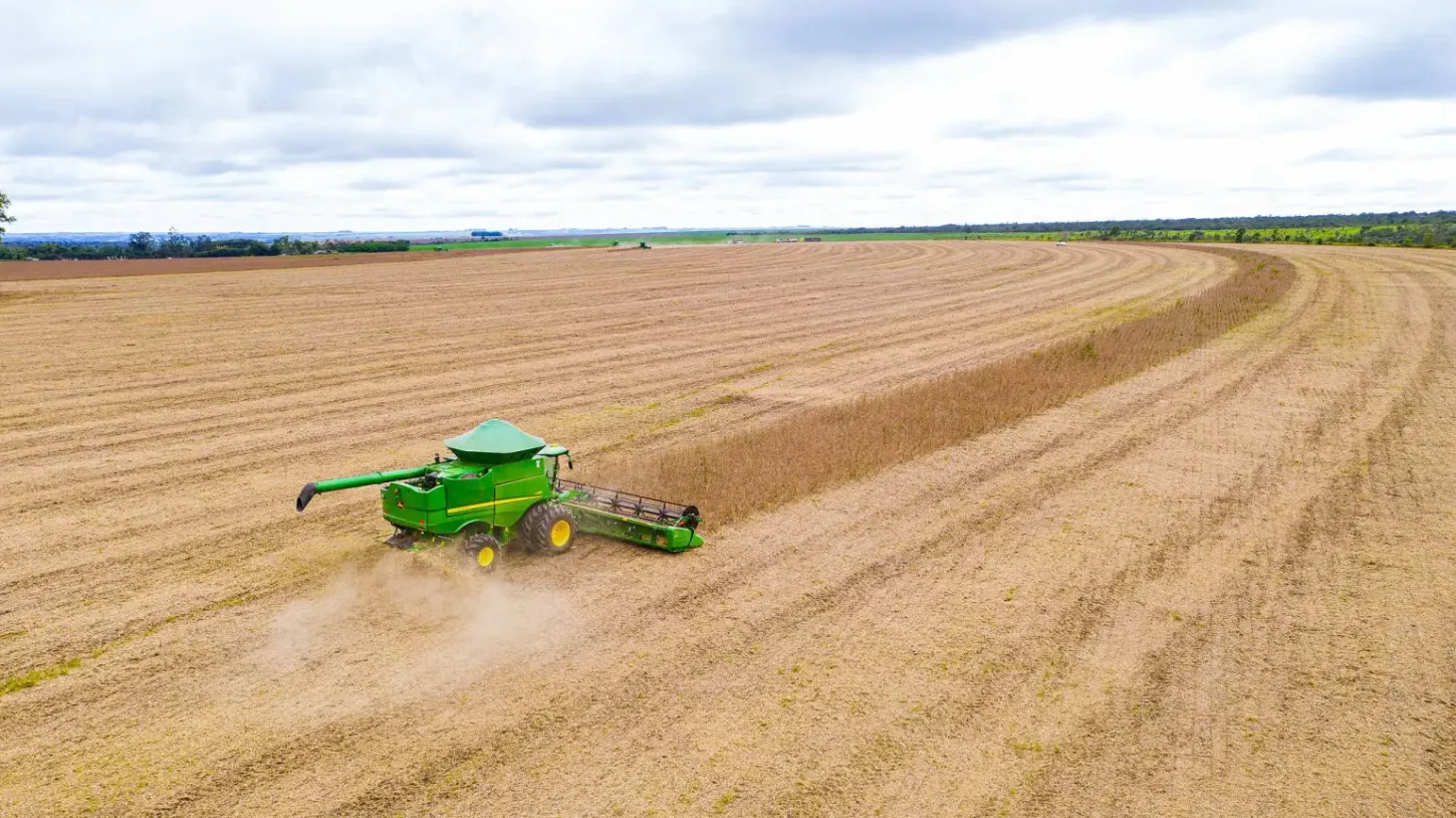 Salada Verde - Greenpeace critica saída da ABIOVE da Moratória da Soja após fim de benefícios fiscais em MT