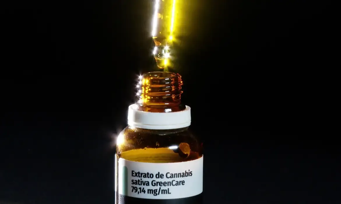 Saúde Anvisa aprova cultivo de cannabis por empresas e amplia acesso