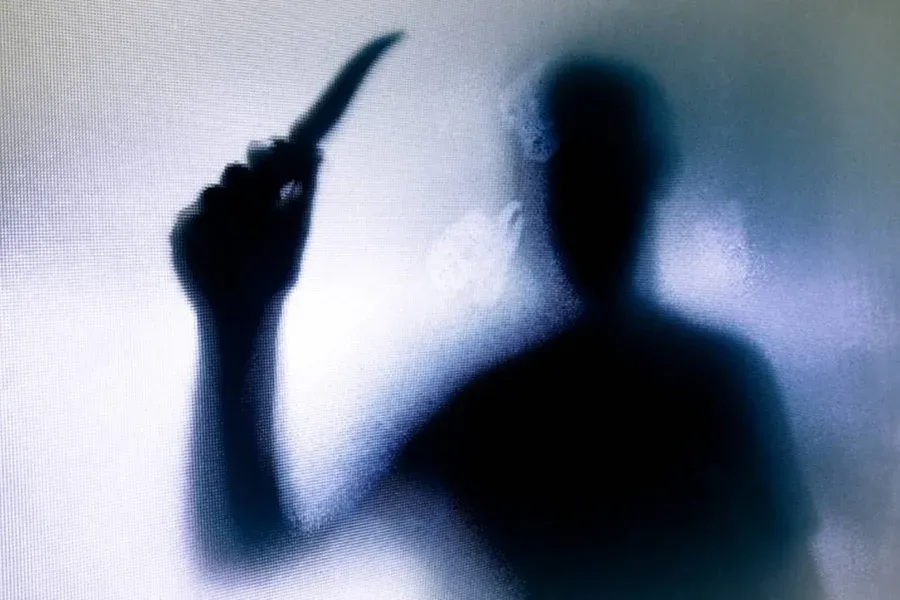Segundo a polícia, o homem foi preso em flagrante com um cartão de memória contendo imagens que mostram ele matando a companheira