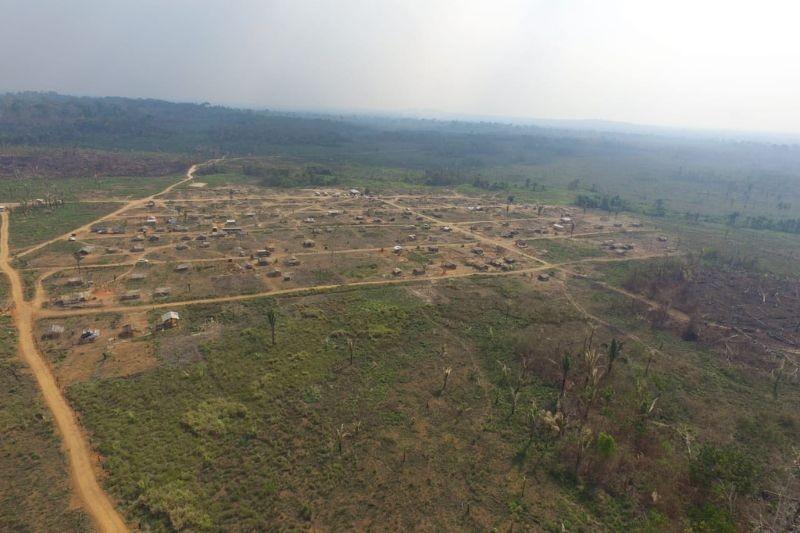 Cidades - Bom Futuro: ação do MPF pede reversão de terras doadas a Rondônia após devastação ambiental