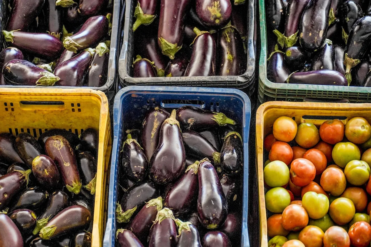 Colunas - Prioridade para os pequenos agricultores
