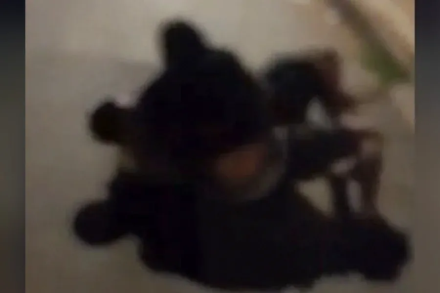 Vídeos - Na Mira - “Mãe, vou morrer” disse jovem de 19 anos após mata-leão em briga no DF