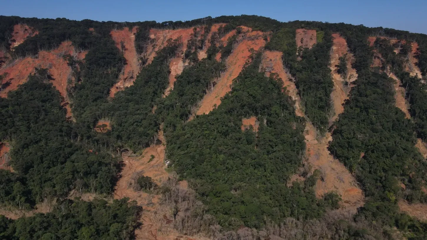 Notícias - Três anos após tragédia, 203 hectares de encostas em São Sebastião seguem em recuperação