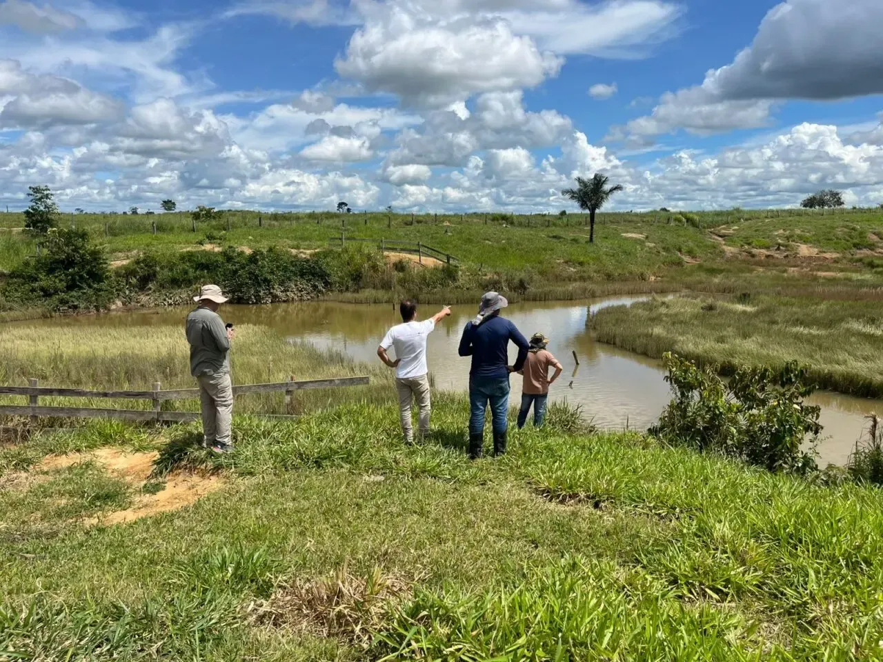 REGULARIZAÇÃO AMBIENTAL - Monitoramento de áreas em recuperação ambiental no estado são intensificadas pelo governo de RO