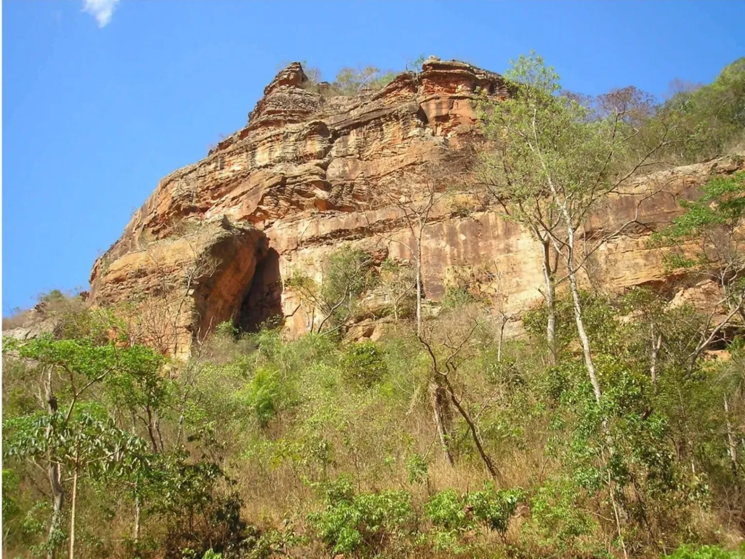 Reportagens - Justiça concede tempo a empresa que quer se apropriar de reserva ambiental no Piau