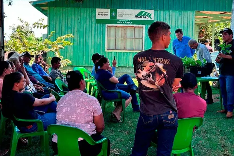 ROBUSTA AMAZÔNICO - Expansão da área plantada de café é fortalecida pelo governo de Rondônia com entrega de 115 mil mudas aos produtores do estado