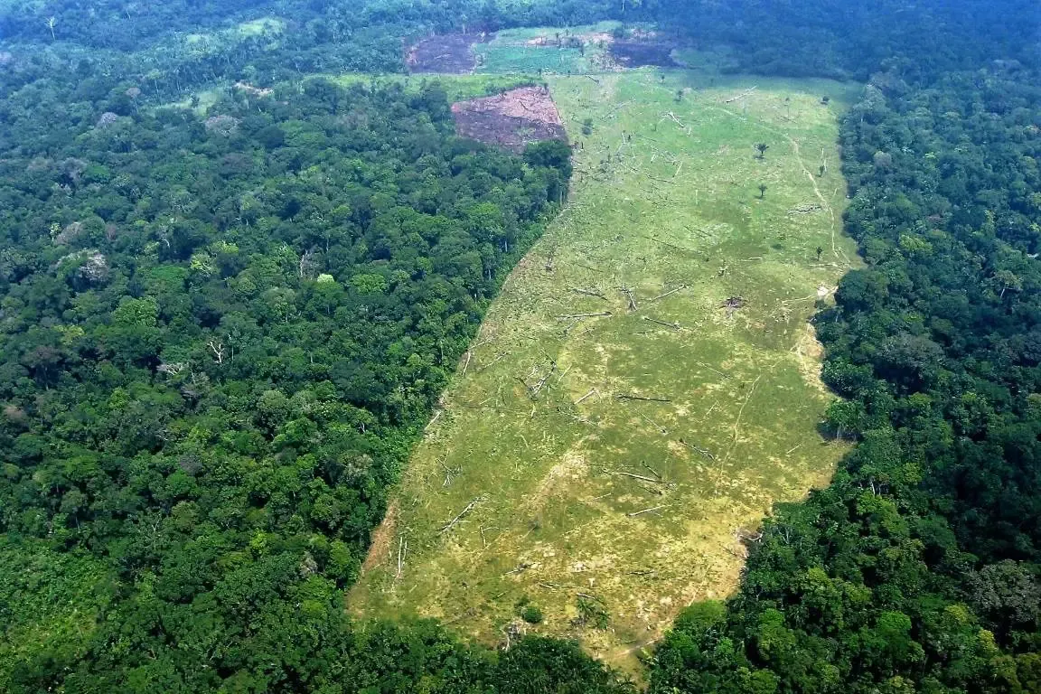 Salada Verde - Nova Lei Geral do Licenciamento Ambiental entra em vigor