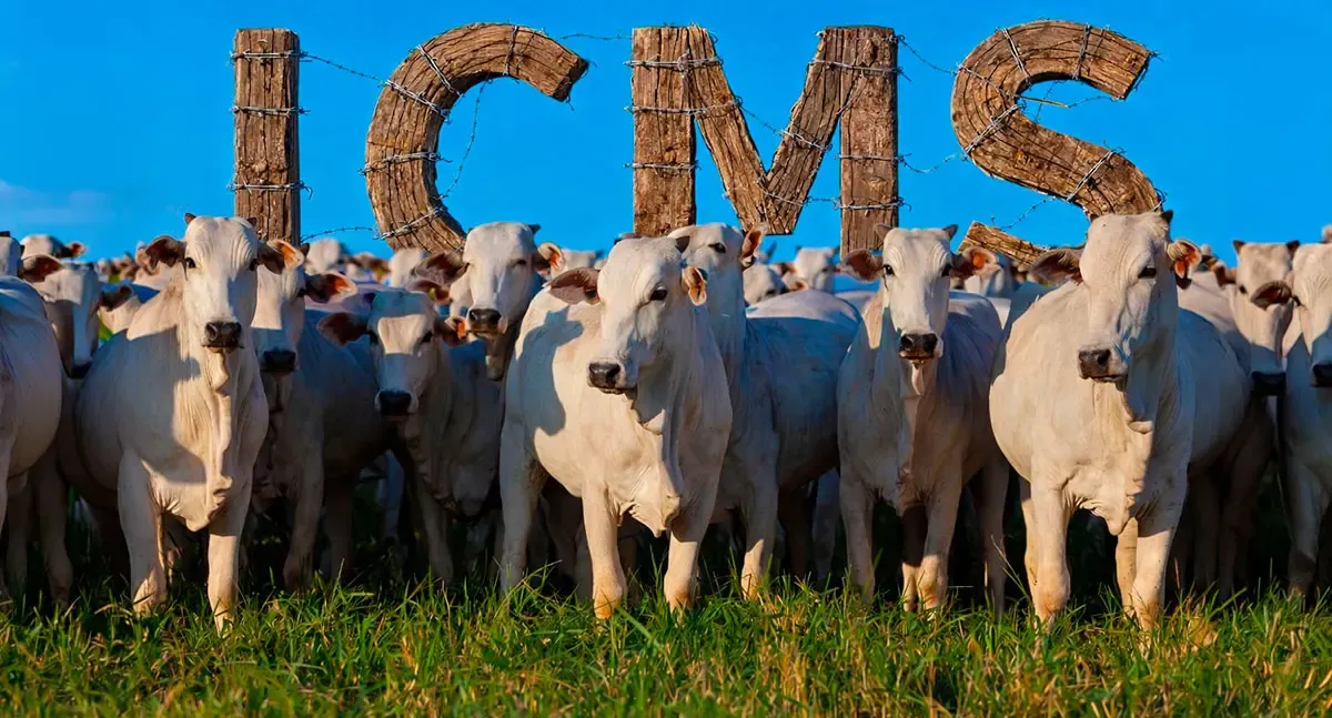 Agro - Governo de Rondônia reduz imposto sobre venda de bovinos para outros estados