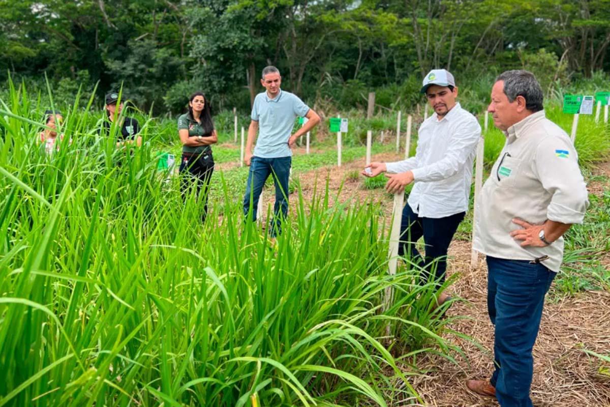 ASSISTÊNCIA TÉCNICA -  Programa estadual fortalece pecuária leiteira e aumenta produtividade na agricultura familiar em Rondônia