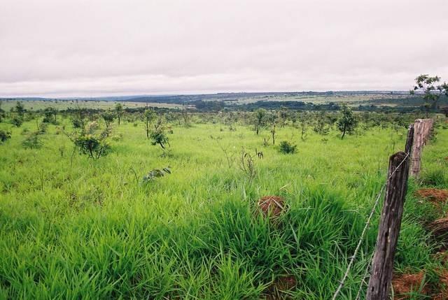 Cidades - Incra alerta população sobre negociações ilegais em área da Fazenda Vilhena