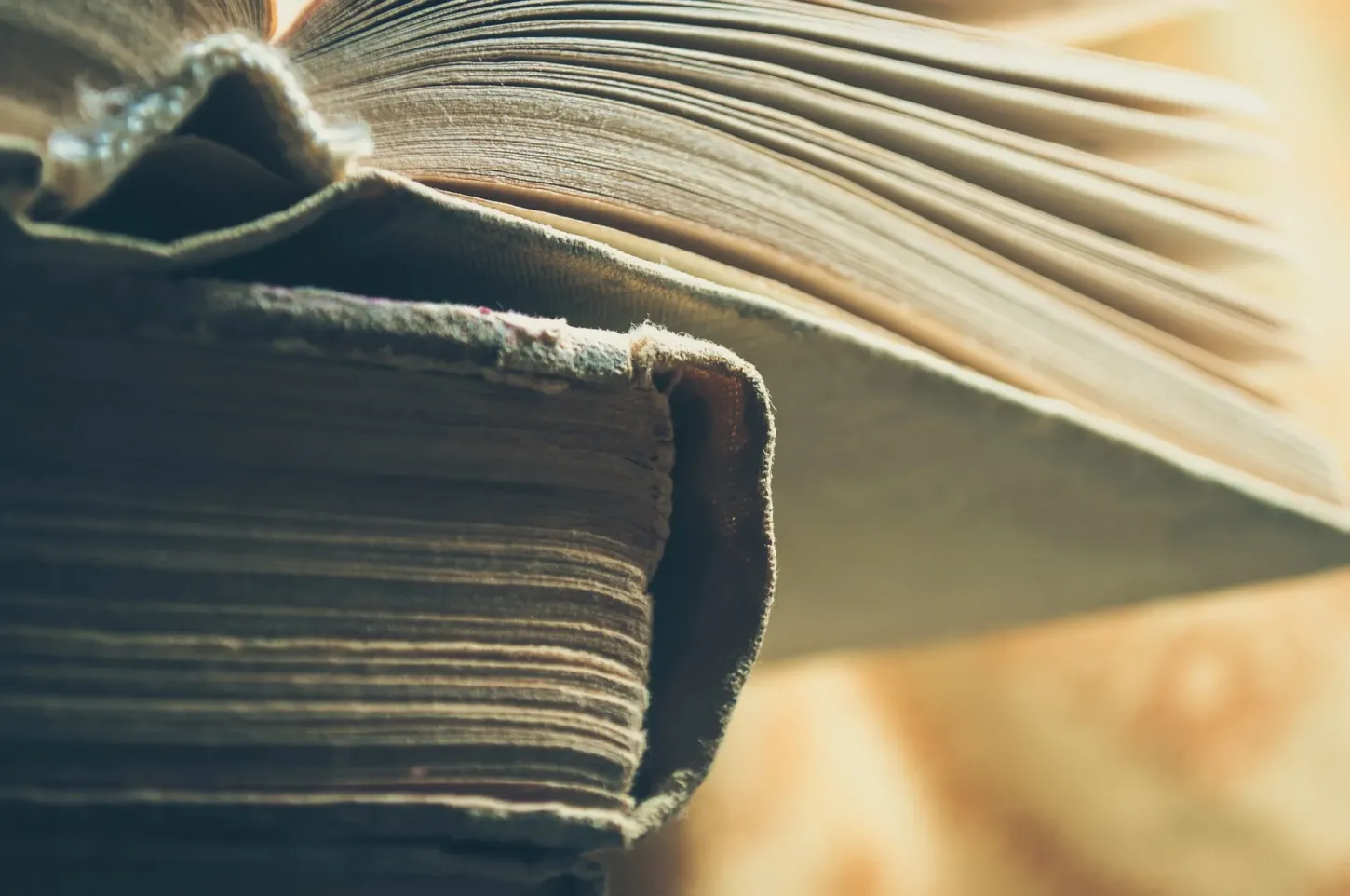 Colunas - 10 Livros para Mergulhar em Conservação, parte 6: Uma Ética Ecológica e Evolutiva