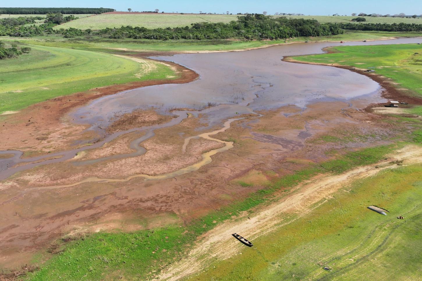 Colunas- Desmatamento da Amazônia custa mais de US$ 1 bilhão por ano na conta de luz dos brasileiros