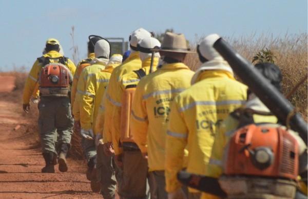 Concursos e Empregos - ICMBio abre processo seletivo para brigadistas ambientais em Rondônia