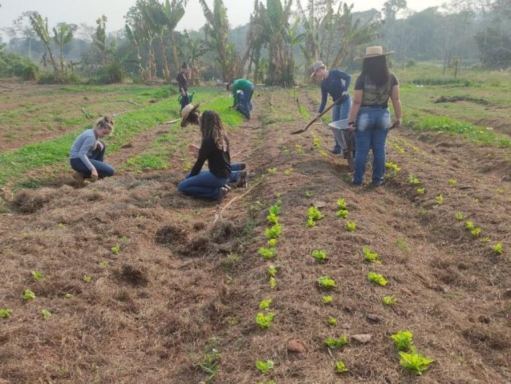 EFA Chico Mendes - EDITAL SIMPLIFICADO DE CONTRATAÇÃO EMERGENCIAL Nº 003/2026