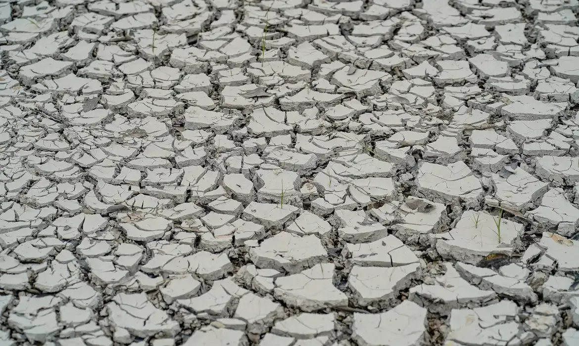 Geral Estiagem: quinze cidades têm situação de emergência decretada