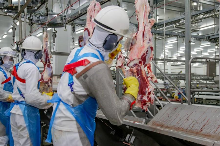 Geral - Plataforma do Governo de Rondônia tem 2.377 vagas abertas esta semana