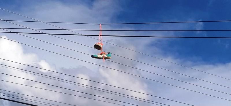 Geral - Prática perigosa de jogar objetos na rede elétrica já afetou quase 20 mil clientes em Ronônia neste ano