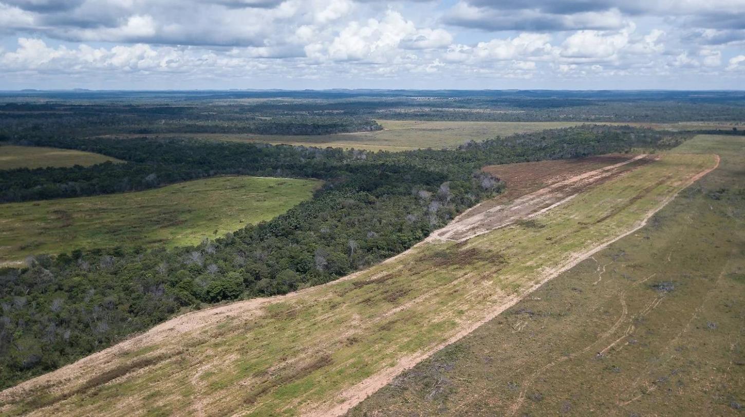 Notícias - Fim da Moratória da Soja pode colocar 13 milhões de hectares de floresta em risco