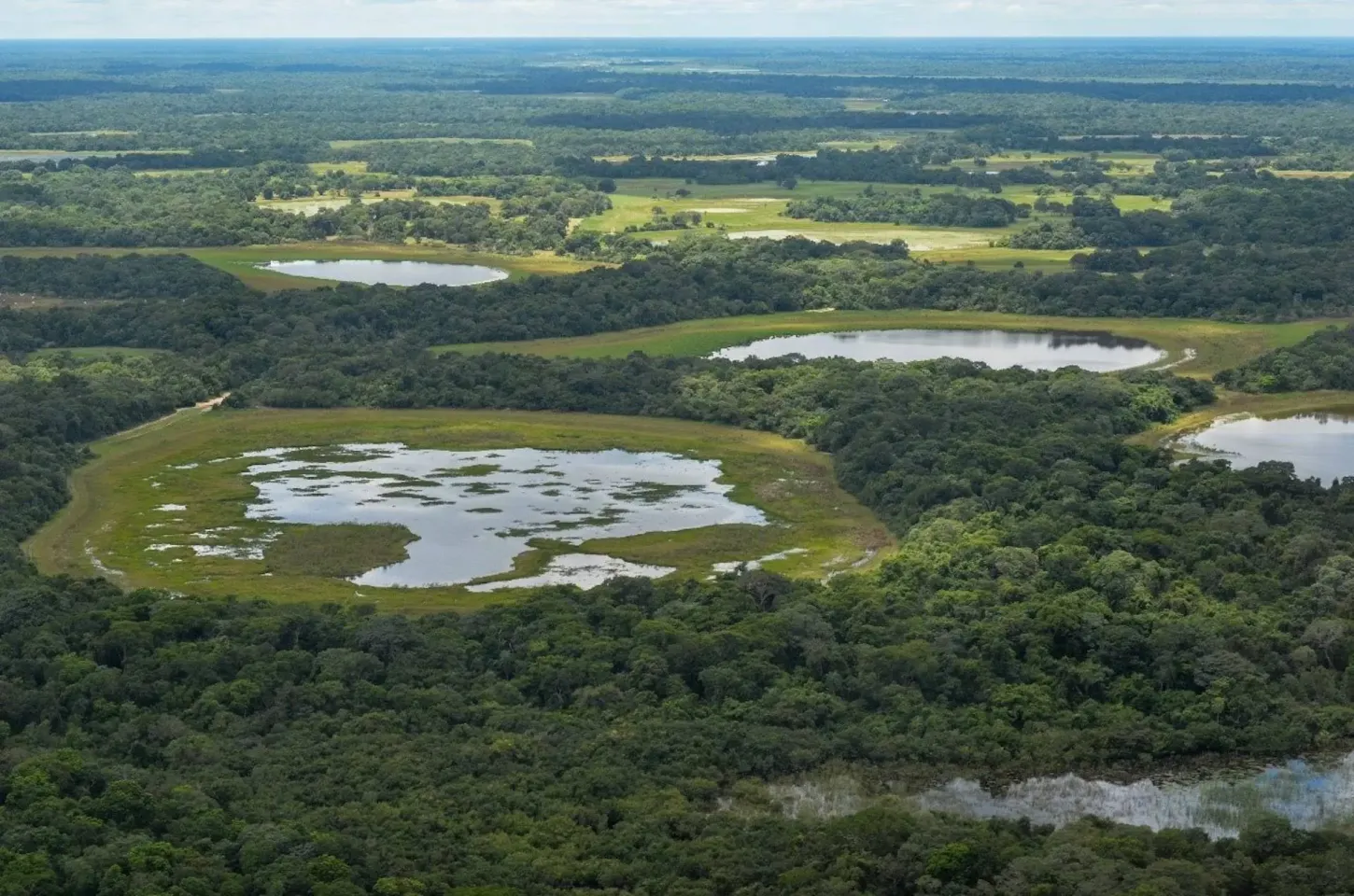 Notícias - Pantanal registra redução de 65% no desmatamento em 2025, indica INPE