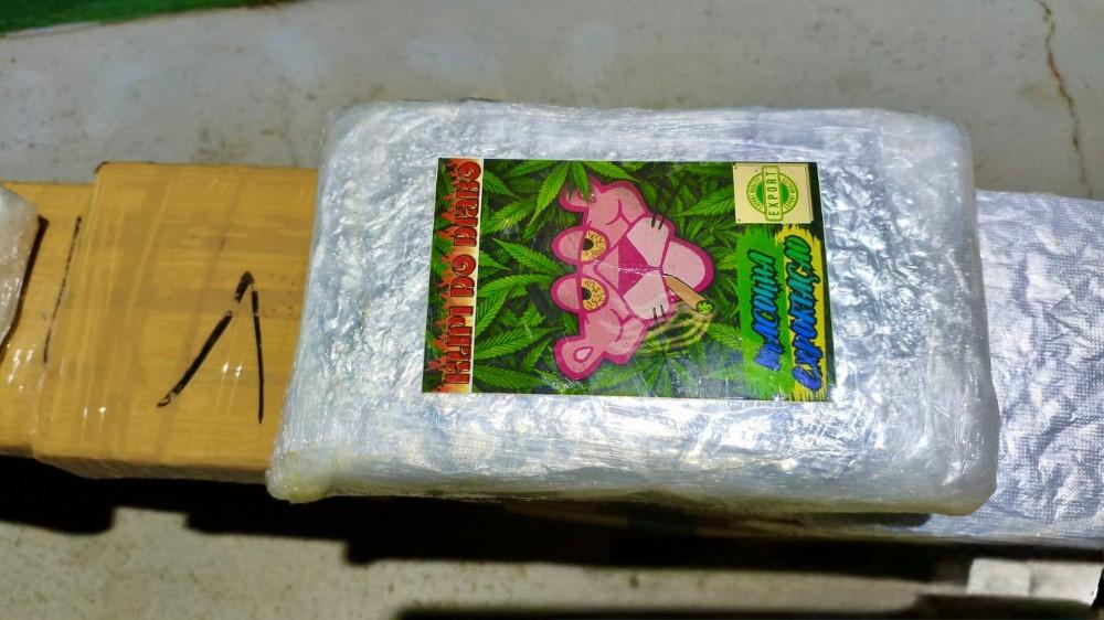 Polícia - Operação apreende cerca de 50 kg de drogas na zona rural de Nova Mamoré