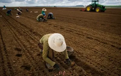 Política | Agronegócios - FPA articula para votar novas regras do Seguro Rural esta semana