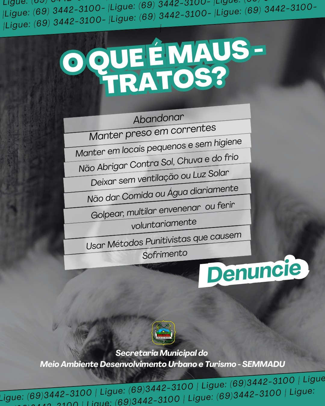 Prefeitura de Rolim de Moura reforça combate aos maus-tratos a animais e pede apoio da população